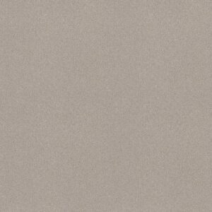 YOUR COMFORT II by Shaw Floors - Shoreline Haze
