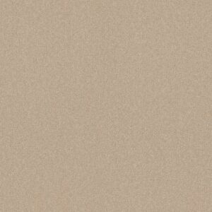 YOUR COMFORT I by Shaw Floors - Sun Kissed