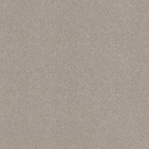 TONAL COMFORT BLUE by Shaw Floors - Shoreline Haze