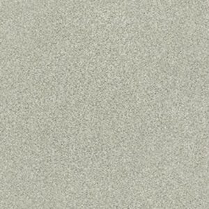 TONAL COMFORT BLUE by Shaw Floors - Willow Tree
