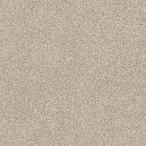 TONAL COMFORT BLUE by Shaw Floors - My Haven