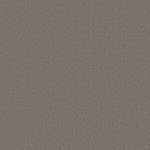 CANVAS COMFORT by Shaw Floors - Natural Fit