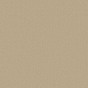 CANVAS COMFORT by Shaw Floors - Sun Kissed