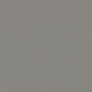 CANVAS COMFORT by Shaw Floors - Cool Breeze