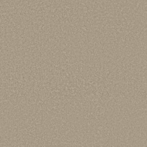 WAY TO GO II by Shaw Floors - Desert Khaki