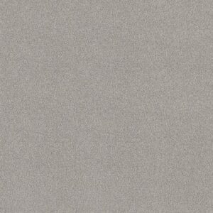 TONAL COMFORT I by Shaw Floors - Morning Dew
