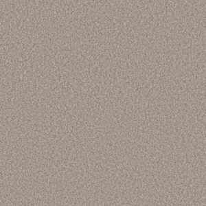 TWEED COMFORT II by Shaw Floors - Mellow