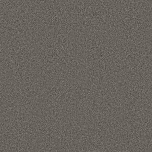 TWEED COMFORT II by Shaw Floors - Anchor Down