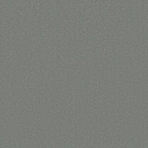 AWAKEN SPIRIT II 12' by Shaw Floors - Secret Escape