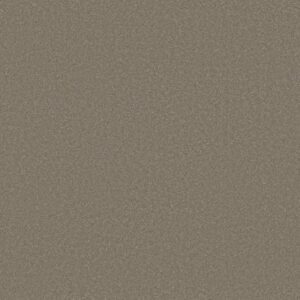AWAKEN SPIRIT II 12' by Shaw Floors - Bungalow