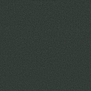 AWAKEN SPIRIT II 12' by Shaw Floors - Blue Spruce