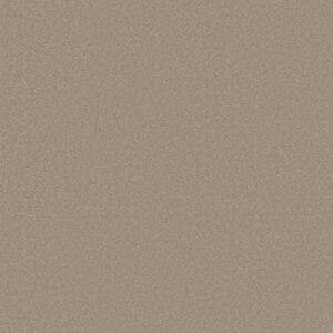 AWAKEN SPIRIT I by Shaw Floors - Neutral Ground