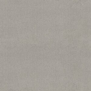 SIMPLY CLASSIC by Shaw Floors - Frozen