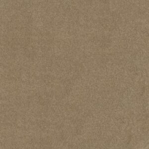 BASIC RULES by Shaw Floors - Gold Rush