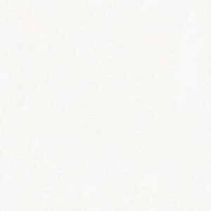 KEEN SENSES II by Shaw Floors - White Hot