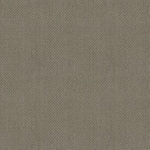 TRULY RELAXED LOOP by Shaw Floors - Rocky Coast
