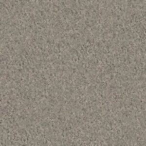 MY INSPIRATION I by Shaw Floors - Latté