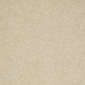 TURN THE PAGE II 12' by Shaw Floors - Agate