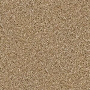 VITALIZE (S) 12' by Shaw Floors - Wicker