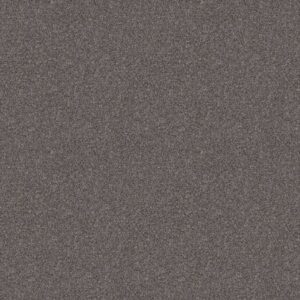 GRANDIOSE by Shaw Floors - Sentimental