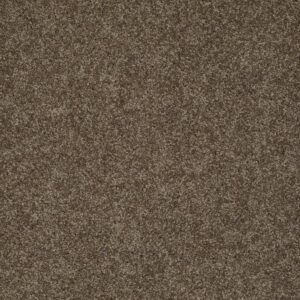 MY INSPIRATION II by Shaw Floors - Weathered Wood