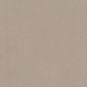 INSIGHTFUL WAY by Shaw Floors - Studio Taupe