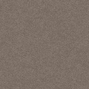 CABANA BAY (B) by Shaw Floors - Granite