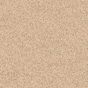 LONESTAR by Shaw Floors - Coffee