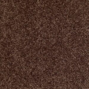 DREAMIN' 12' by Shaw Floors - Montana