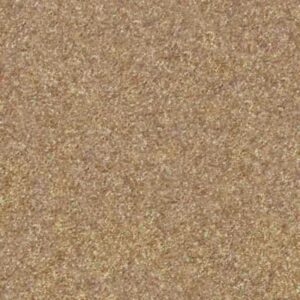 VICTORY by Shaw Floors - Country Road