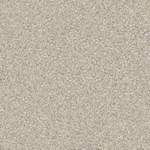 GOLD TEXTURE TONAL by Shaw Floors - Anchorage