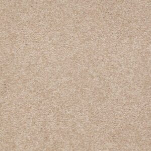 MAGIC AT LAST III 12' by Shaw Floors - Shell