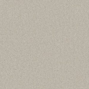 COZY HARBOR I by Shaw Floors - Thoughtful