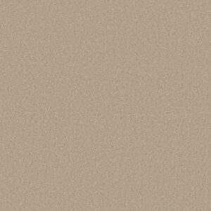 CASHMERE CLASSIC I by Shaw Floors - Suede