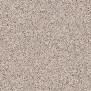WEATHERFORD by Shaw Floors - Tasteful Taupe