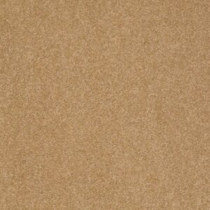 SHINGLE CREEK II 15 by Shaw Floors - Cork