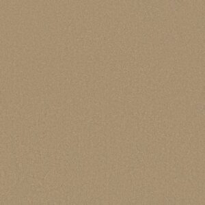 CORNER CAFE 12' by Shaw Floors - Stucco