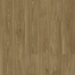 Praxis Plank by Shaw Floors - Theory