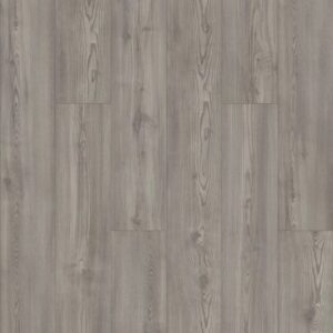 Paladin Plus by Shaw Floors - Fresh Pine