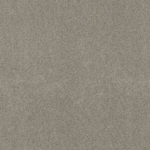 OCEAN VIEW by Shaw Floors - Shadow