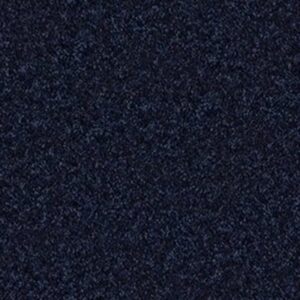 ROYAL PORTRUSH I 12' by Shaw Floors - Evening Sky