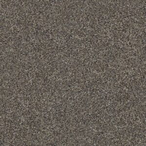 WITHIN REACH I by Shaw Floors - Beige Bisque