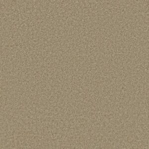 FREE TIME by Shaw Floors - Gallery