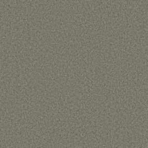 FREE TIME by Shaw Floors - Pewter