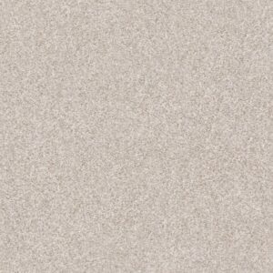 MAKE IT MINE I by Shaw Floors - Desert Light