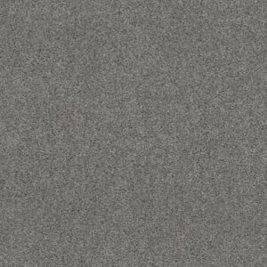CALM SERENITY I by Shaw Floors - Harbor Dock
