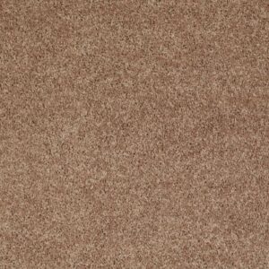 UNION CITY I 15 by Shaw Floors - Taffy