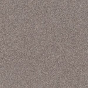 TRUSPLENDOR by Shaw Floors - Stainless