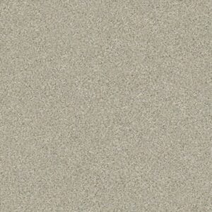BOUNDLESS IV by Shaw Floors - Creamery