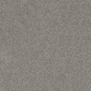 TENACIOUS WIN by Shaw Floors - London Fog